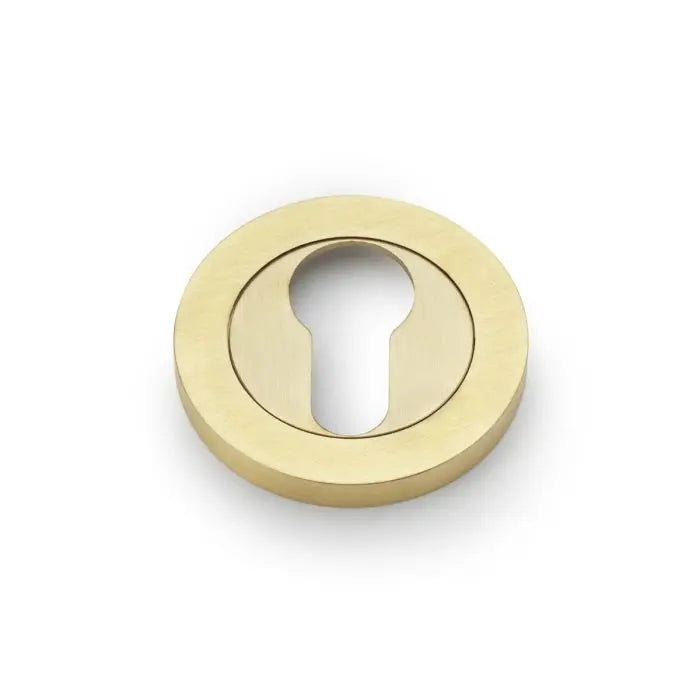 Alexander and Wilks Concealed Fix Escutcheon Euro Profile