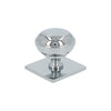 Alexander and Wilks Quantock Cupboard Knob on Square Backplate