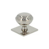 Alexander and Wilks Quantock Cupboard Knob on Square Backplate