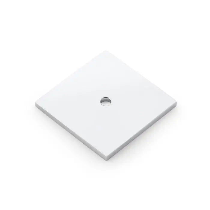 Alexander and Wilks Bullion Square Backplate