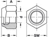 Hexagon Locking Nut M5 St Galv/Nyl Ins