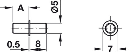 Shelf Support D5mm Plug St Brz