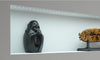Loox LED3011 Strip 330mm 24V/0.9W 5000K