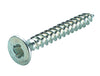 Security Screw Sentinal 1W PZ2 3.5x25mm