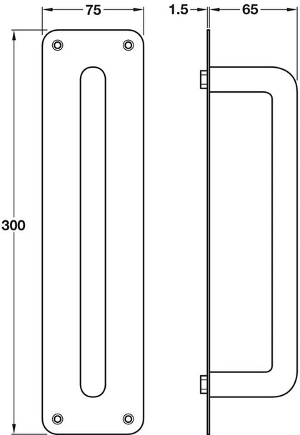 Pull Hdl/Plt D19x300x75mm SS