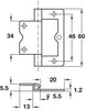 Flush Hinge 60x20mm Inset St FB