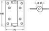 Spring Hinges Sgl Act 100x75mm Silver