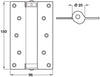 Spring Hinges Sgl Act 150x96mm Silver