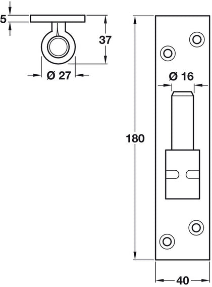 Hinge Pin on Vert Plt 180x40mm 316 BSS