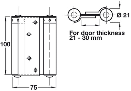 Spring Hinge Dbl Act 100x75mm St Slv