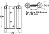 Spring Hinge Dbl Act 100x75mm St Slv