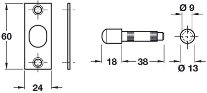 Hinge Bolt 60x24mm Coated St Chrome