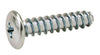 Panel Mnt Scr Flt PZ2 D5.0x13.5mm St Glv
