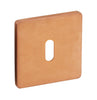 Escutcheon 50x50mm Std KW 316 PVD BC