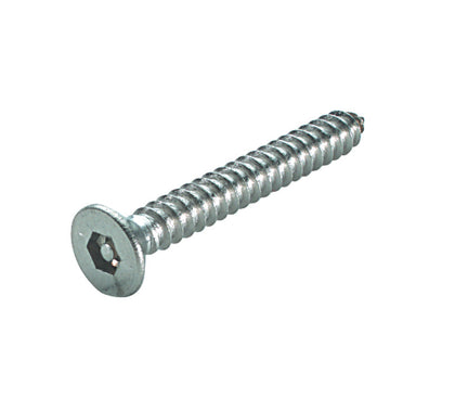 Security Screw/PinHex Csk HM2.5 4.2x32mm