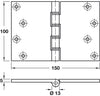 Butt Hinge Proj DPBW 100x150mm Brs SC