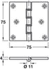 Butt Hinge Proj DPBW 75x75mm Brass Self