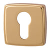 RO13 Escutcheons 52x52mm Pro Cyl ZA Gold