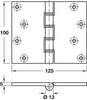 Butt Hinge Proj DPBW 100x125mm Brs Self