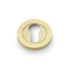 Alexander and Wilks Concealed Fix Escutcheon Euro Profile