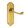 Carlisle Brass Ashtead Door Handle on Backplate - Pair