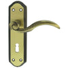 Carlisle Brass Wentworth Door Handle on Short Backplate - Pair