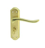 Carlisle Brass Lytham Door Handle on Backplate - Pair