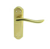Carlisle Brass Lytham Door Handle on Backplate - Pair