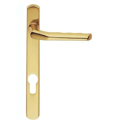 Carlisle Brass Straight Multipoint Door Handle on Backplate - Pair