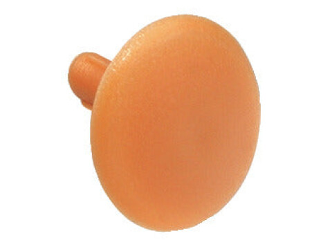 Cover Caps D12.5mm SW4 PF Pl Pine Colour