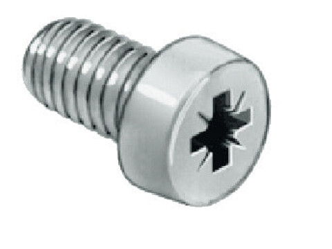 Cheese Head Screw Galv St M6x10mm