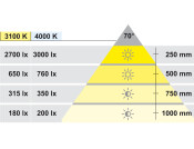 LooxC LED Polar DL 24V/5W 3100K Black