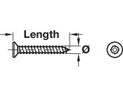 Security Screw Sentinal 1W PZ2 4.2x38mm