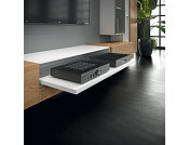 Dynapro Shelf Slide Full 40kg 450mm SZP