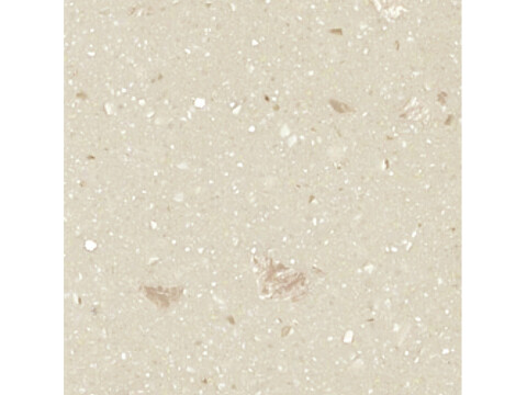 Worktop, Solid Surface, Fossil, Maia�