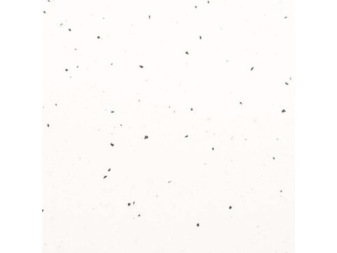 Maia Vanilla B/Bar 3600 x 900 x 42 mm