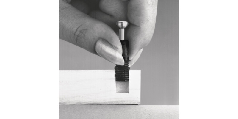 Minifix C100 Spread Bolt 8/24mm ZA Blk