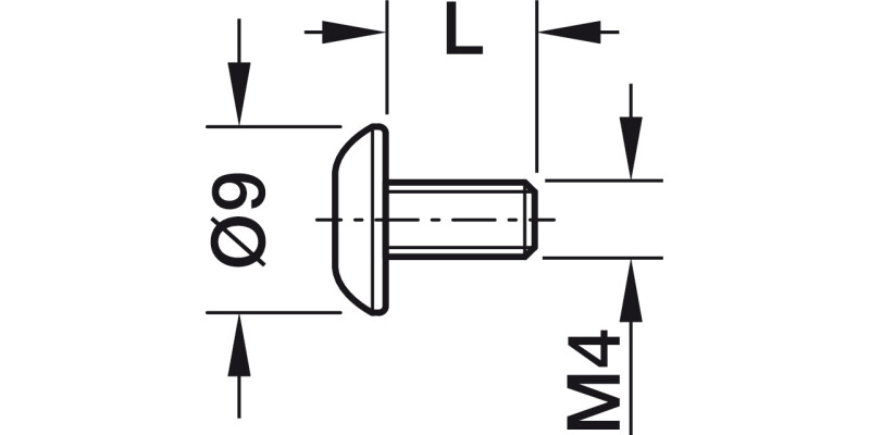 End Screw M4 Thread St NP M4x8mm