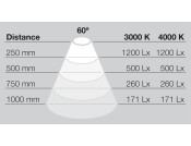LooxC LED Lineo Lgt SM 24V/5W 3000K SS