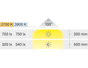 LooxC LED Hiddi Lgt 24V/3W 3900K Blk/Wht