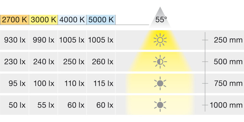 Loox5 LED2090 DL D32.5mm 12V/1.2W 5000K