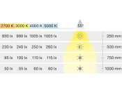 Loox5 LED2090 DL D32.5mm 12V/1.2W 5000K