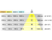 Loox5 LED2090 DL D32.5mm 12V/1.2W 5000K