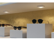 Loox5 LED2091 DL D65mm 12V/3.4W MW Alu