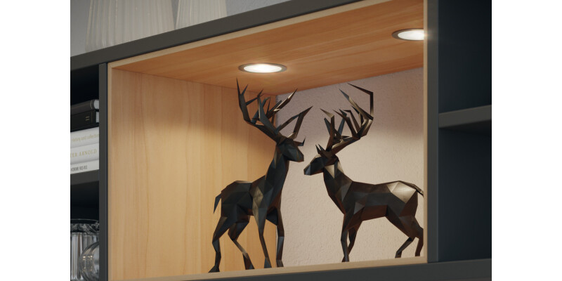 Loox5 LED2094 DL D65mm 12V/2.5W 4000K C