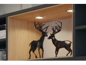 Loox5 LED2094 DL D65mm 12V/2.5W 4000K C