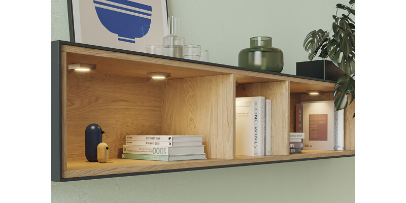 Loox5 LED2094 DL D65mm 12V/2.5W 2700K B