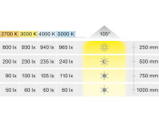 Loox5 LED2094 DL D65mm 12V/2.5W 2700K B
