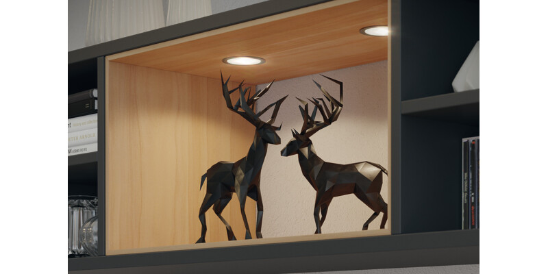 Loox5 LED2047 DL D65mm+Adp 12V/3W 5K PC