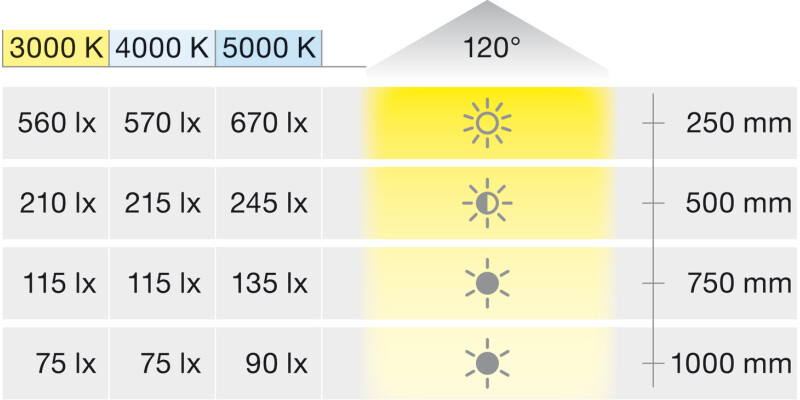Loox5 LED2047 DL D65mm+Adp 12V/3W 5K PC